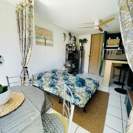 Apartment Cap Parking Wifi Port Agde